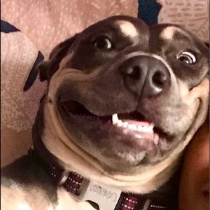 Meet your Posher, Mark